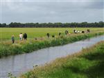 Visclinic brede school Weiteveen/Nieuw Schoonebeek
